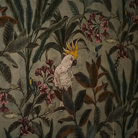 La Dimora Del Generale 皮佐