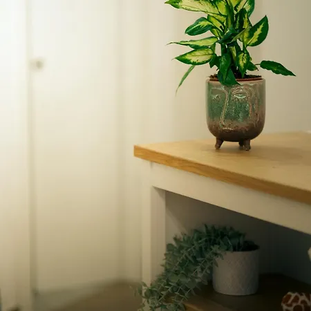 La Dimora Del Generale 皮佐